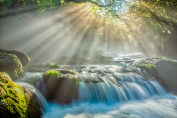 菊池渓谷の光芒 ray of shine