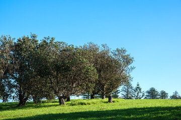 Gerringong  is a town located about ten minutes drive south of Kiama, and about twenty minutes...