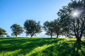 Gerringong  is a town located about ten minutes drive south of Kiama, and about twenty minutes north of Nowra in the Illawarra region of New South Wales