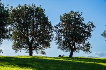 Gerringong  is a town located about ten minutes drive south of Kiama, and about twenty minutes north of Nowra in the Illawarra region of New South Wales