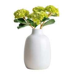 Elegant white vase filled with vibrant green hydrangea flowers showcasing modern home decor with a touch of nature and freshness for interior styling
