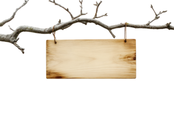 Empty Wooden Sign Hanging: A weathered, rectangular wooden sign hangs delicately from a bare, slender branch, ready for personalized messages and information.