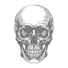 Fototapeta premium Stipple skull with gritty photocopy halftone texture and grunge aesthetic. Perfect for punk and gothic collage projects. Vector illustration