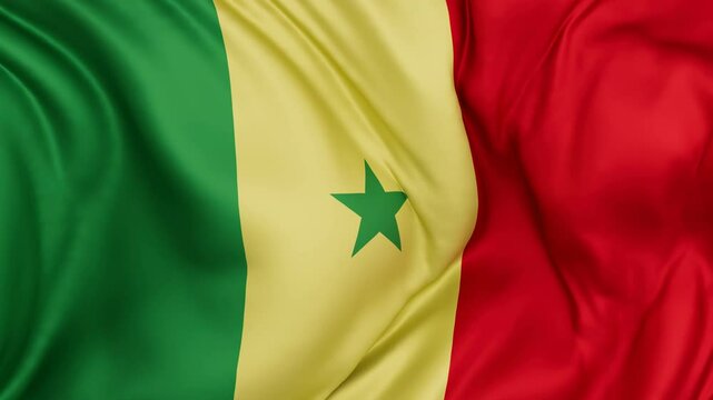 Senegal flag swaying in the wind, endless cycled loop video background