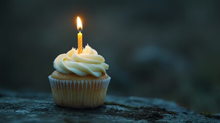 Birthday Cupcake with Copy Space