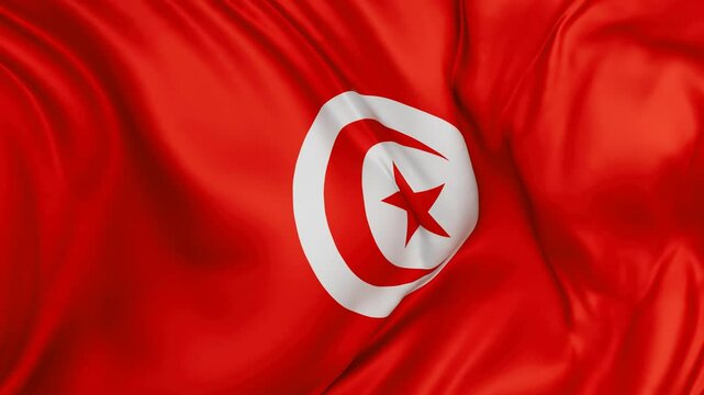 Tunisia flag swaying in the wind, endless cycled loop video background