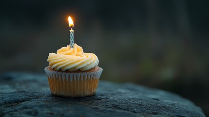Birthday Cupcake with Copy Space