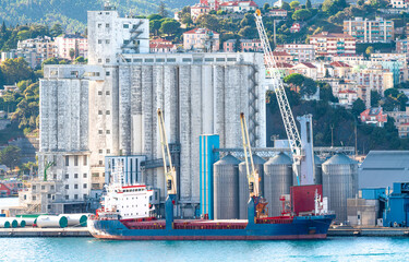 Cargo ship moored at a port grain terminal with large silos and cranes