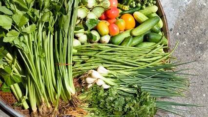 Fresh vegetables for cooking. Vegetables contain dietary fiber that helps cleanse the intestines.