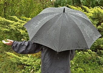 Person under umbrella in rain
