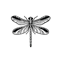 dragonfly silhouette vector