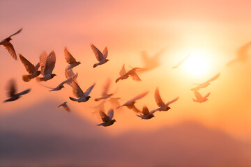 Obraz premium Birds flying together at sunset creating a beautiful inspirational scene