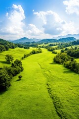 Rural Landscape with Winding Path