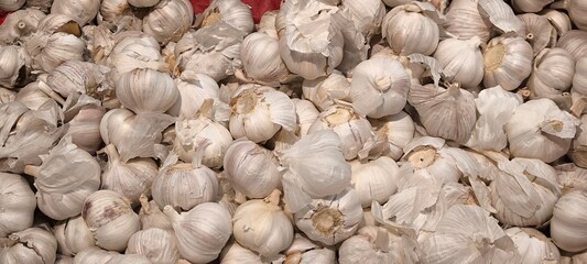 Fresh garlic for cooking. Garlic for background.