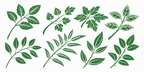 Collection of Green Leaf Branches Vector Illustrations Isolated on White Background Perfect for Botanical Designs and Nature Inspired Creative Projects or Decorative Elements