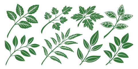 Set of Green Leafy Branches with White Veins on a Black Background Ideal for Botanical Illustrations Patterns and Nature Inspired Designs Decorative Elements and Organic