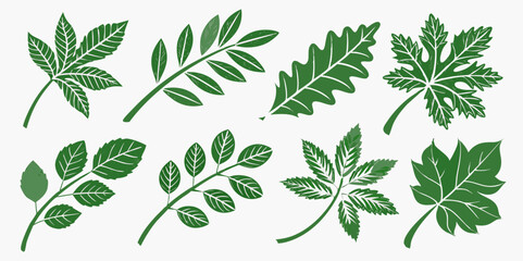 Botanical Illustration of Green Leaves from Different Trees Isolated on White Background Ideal for Nature Inspired Designs and Decorative Elements for Various Projects