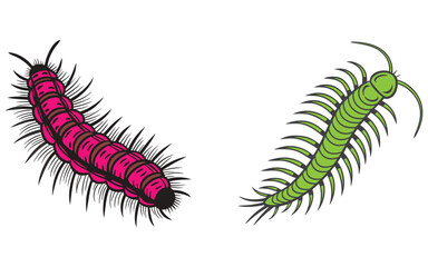 Fototapeta premium Bristle worm bundle set design isolated on white background and illustrator eps 10