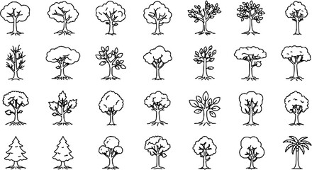 Trees line icon set. Vector pictograms of roots, branches, leaves, fruit, apple, orange, evergreen, tropical, thin linear illustration.
