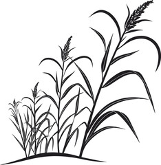 Elegant Vector Silhouette of Tall Grass Plants with Leaves and Seedheads on White Background