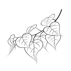 tree branch with leaves in outline vector icon