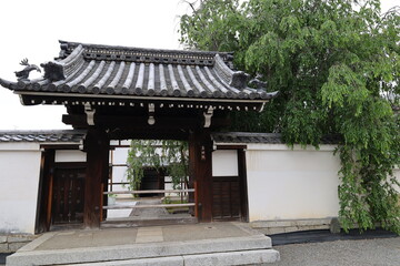  A Japanese temple：Zenmyo-in Subordinate Temple in the precincts of Myokaku-ji Temple in Kyoto City