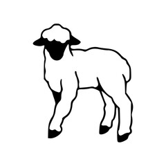 woolly sheep drawing icon