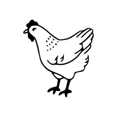 cute hen farm animal illustration