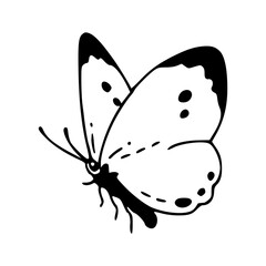 minimalist butterfly vector design
