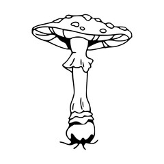 fantasy fly agaric line art