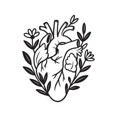 Anatomical heart 