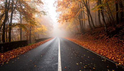 Obraz premium Misty autumn road through a vibrant forest with fallen leaves lining the asphalt, disappearing into the fog