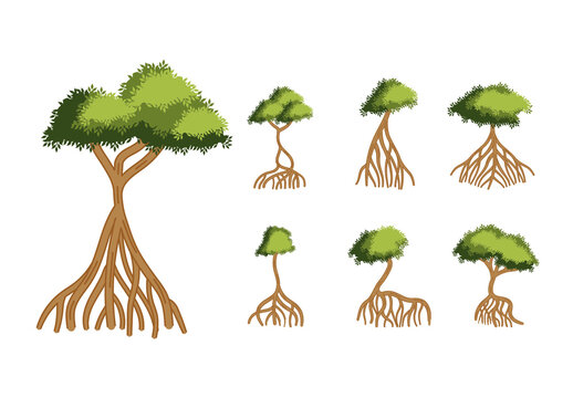 Green And Brown Mangrove Trees Tropical Jungle Roots Illustrations Set