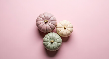 Pastel Pumpkins on Pink Background in Soft Light
