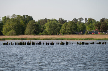 Calm waters reflect greenery and wooden posts along the lakeside in springtime