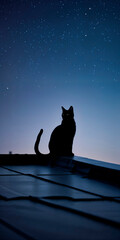Silhouette of Cat Sitting on Rooftop Under Starry Sky