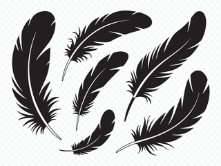 Obraz premium Feather silhouette vector collection with bird and quill designs