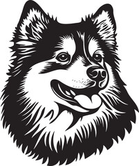 finnish lapphund dog portrait