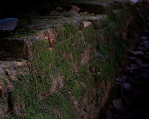 Obraz premium Ancient temples of the abandoned city of Angkor, near the city of Siem Reap, Cambodia