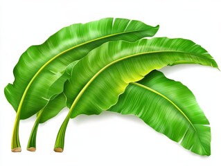 Vibrant Green Banana Leaves Illustration, Tropical Foliage, Plant Design Banana leaf, tropical plant