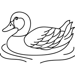 Obraz premium Duck swimming in pond. Waterfowl floats peacefully on calm water. Detailed line drawing of domestic duck for children's book illustrations.