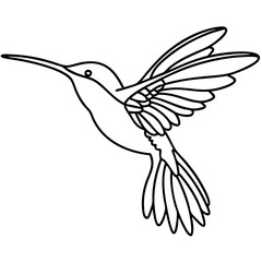 Obraz premium Hummingbird in flight, graceful lines and detailed wings, hovering bird illustration. Elegant hummingbird design perfect for nature posters, greeting cards, or logo design.