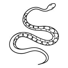 Fototapeta premium Coiled snake illustration. Detailed snake drawing shows reptile body, scales, and graceful curves. This elegant snake image is perfect for designs needing a unique, stylish reptile graphic.