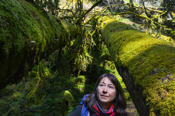 Wanderin zwischen zwei umgestürzten, moosbedeckten Baumstämmen mit Baumpilzen in Teichschlucht zwischen Gütenbach und Wildgutach im mittleren Schwarzwald