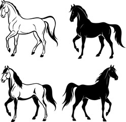  horse silhouettes and outline vector icon set, perfect pack for versatile use