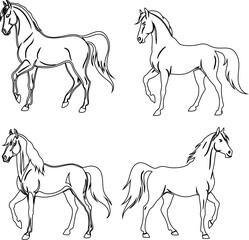  horse outline vector icon set, perfect pack for versatile use