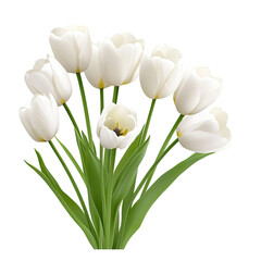 Close-up of a bouquet of white tulips