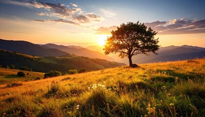 Majestic Sunset Over Rolling Hills and Lone Tree