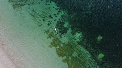 Aerial birds eye view of kayak over seaweed farm in crystal clear ocean water on Atauro Island, Timor-Leste