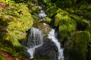 Die Teichschlucht zwischen Gütenbach und Wildgutach im mittleren Schwarzwald ist ein naturnaher Bachlauf im Bannwald mit vielen kleinen Wasserfällen moos-bedeckten Granit-Steinblöcken